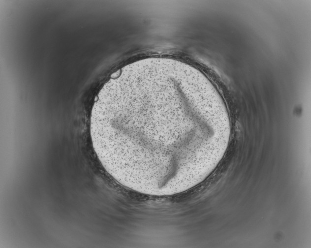 X0000097631447200803211757