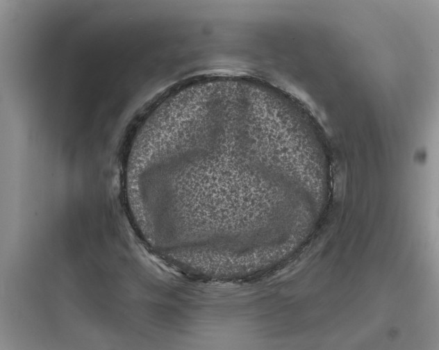 X0000097631448200803211757