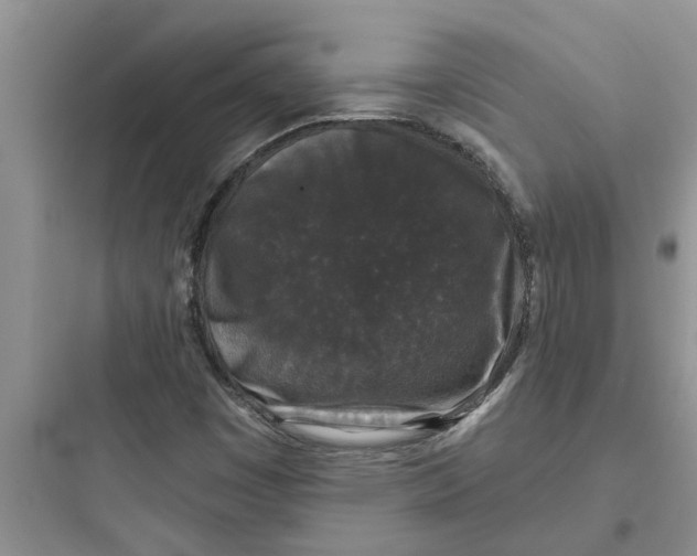 X0000097631449200803211757