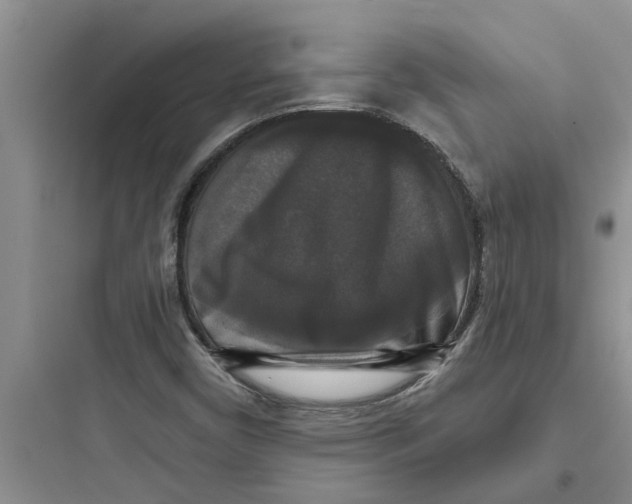 X0000097631450200803211757