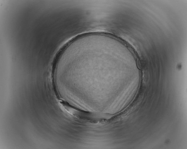 X0000097631452200803211757