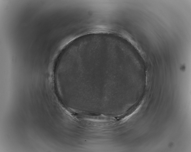 X0000097631453200803211757