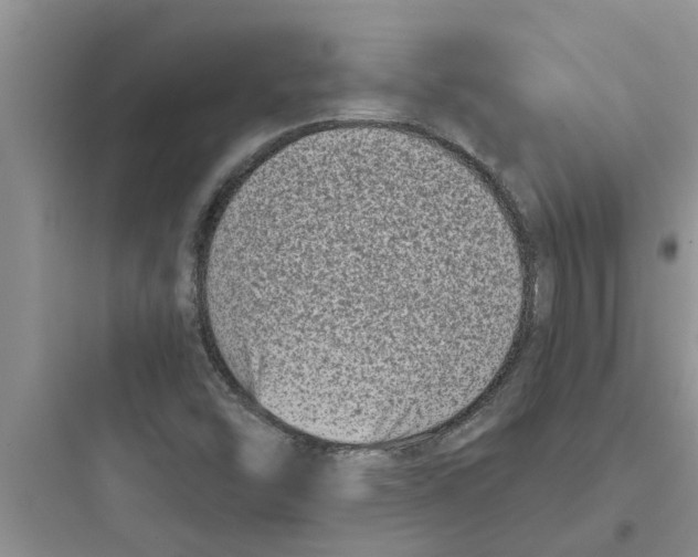 X0000097631454200803211757