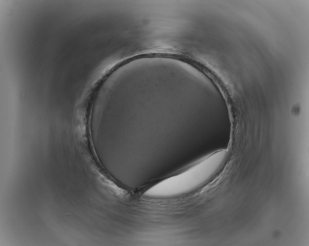 X0000097631455200803211757