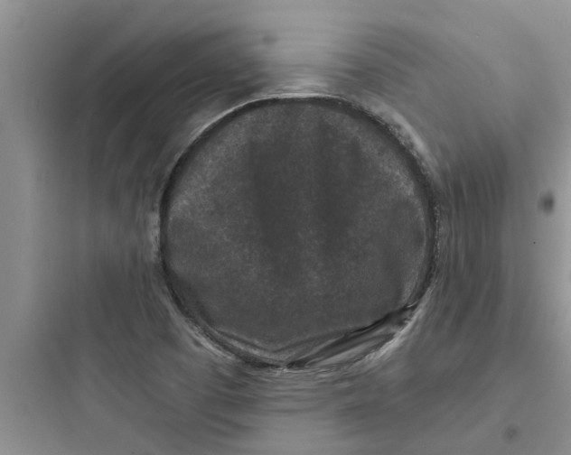 X0000097631457200803211757