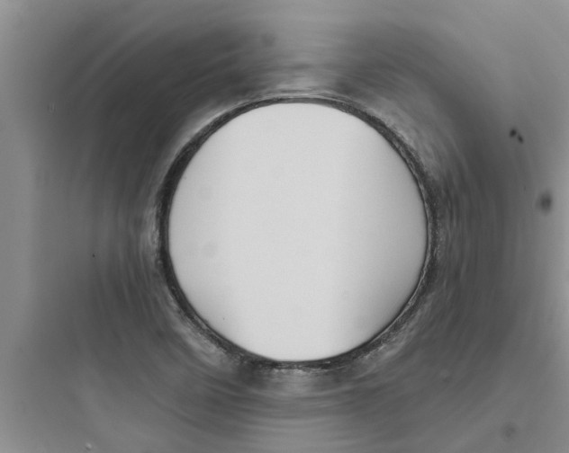 X0000097631458200803211757