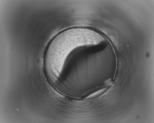 X0000097631459200803211757