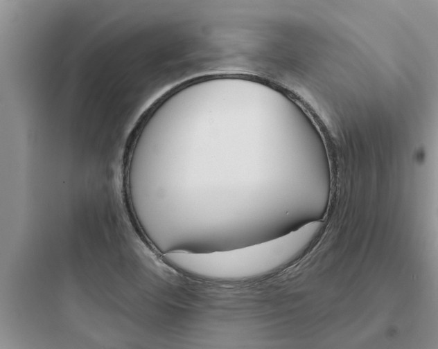 X0000097631460200803211757