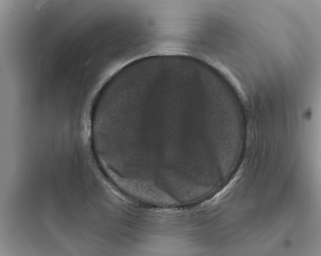 X0000097631461200803211757