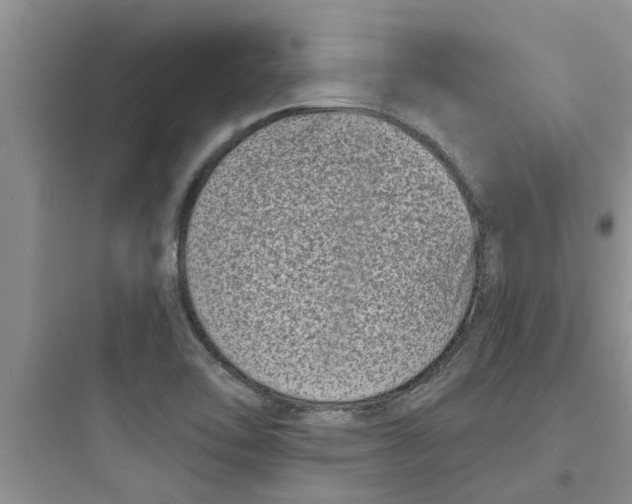 X0000097631462200803211757