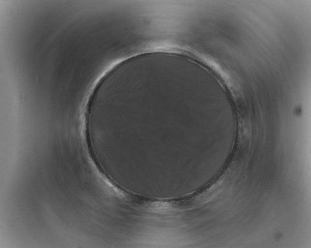 X0000097631463200803211757