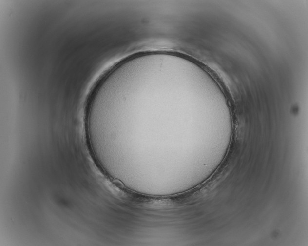 X0000097631464200803211757