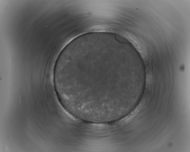 X0000097631465200803211757