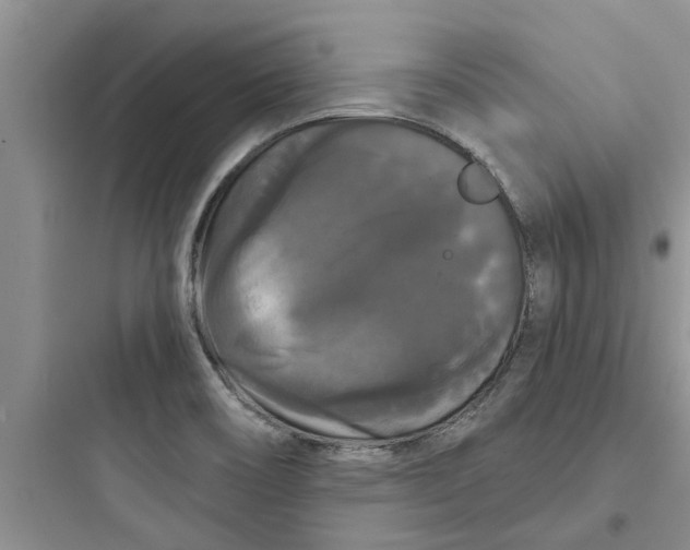 X0000097631466200803211757