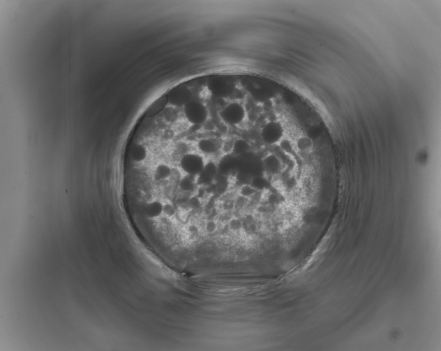 X0000097631467200803211757