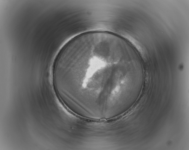 X0000097631468200803211757