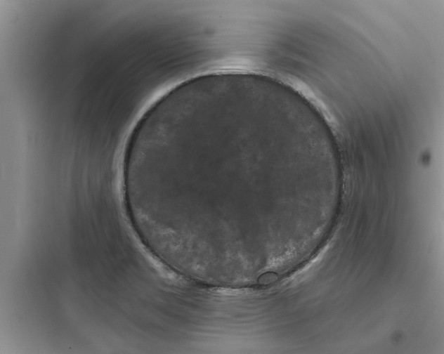 X0000097631469200803211757