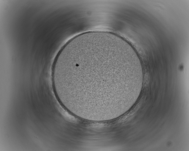 X0000097631470200803211757