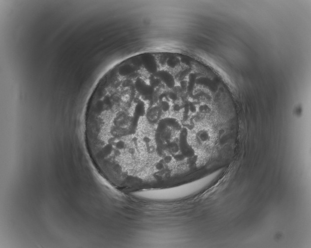 X0000097631471200803211757