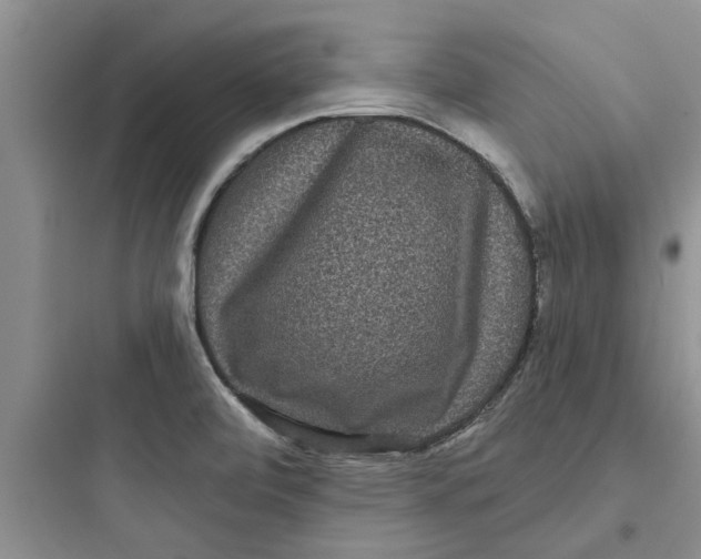 X0000097631472200803211757