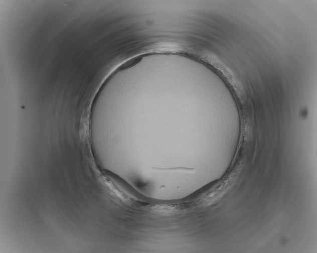 X0000097631473200803211757