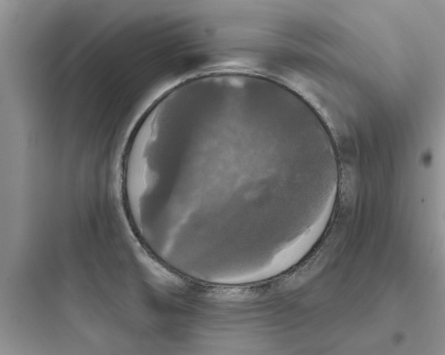 X0000097631474200803211757