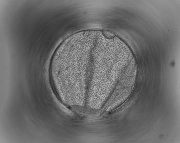 X0000097631475200803211757