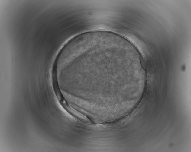 X0000097631476200803211757