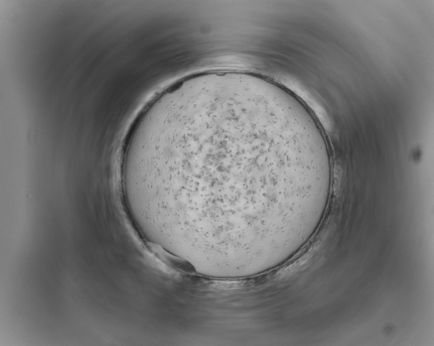 X0000097631477200803211757