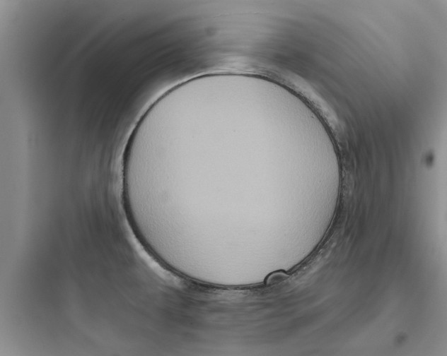 X0000097631479200803211757