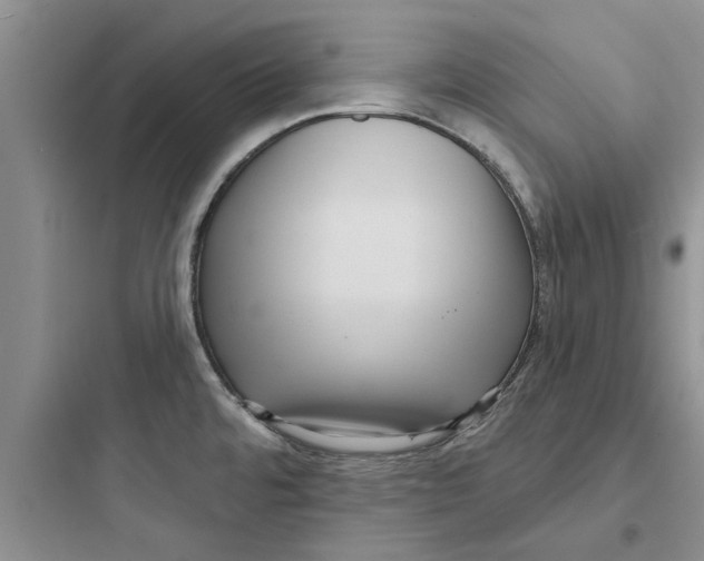 X0000097631480200803211757