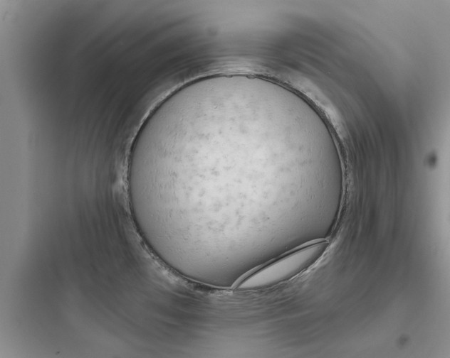 X0000097631481200803211757