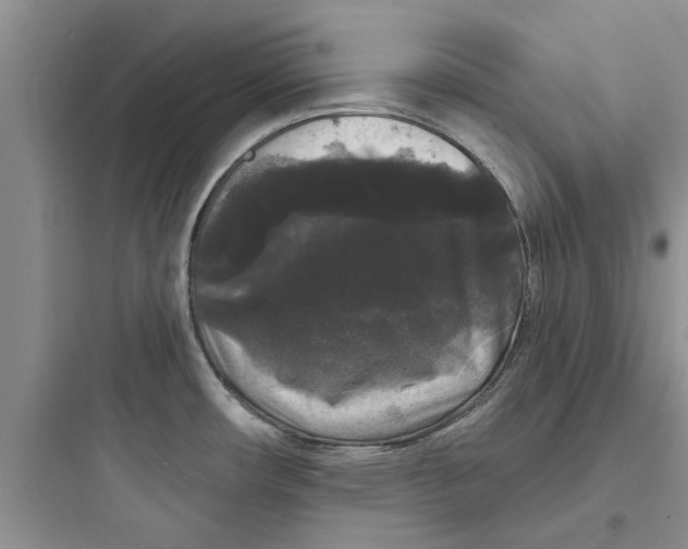 X0000097631482200803211757