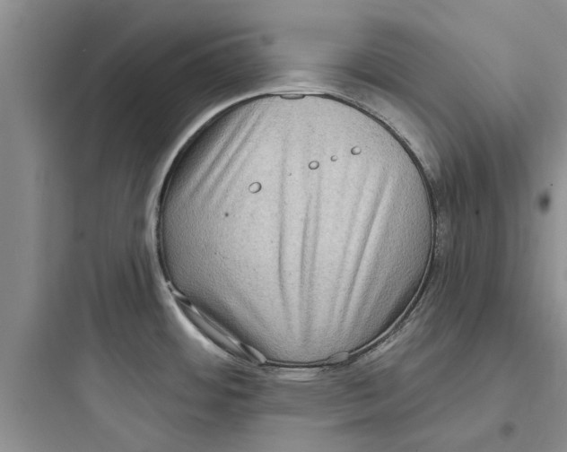 X0000097631484200803211757