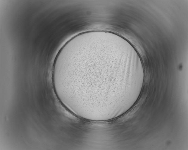 X0000097631486200803211757