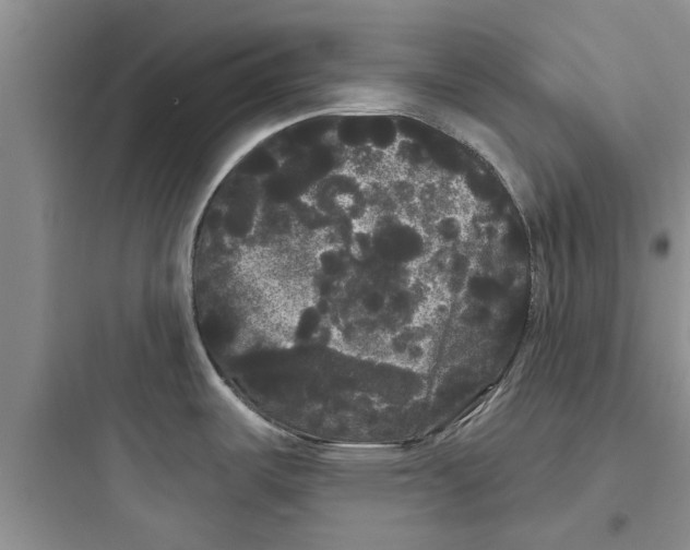 X0000097631487200803211757