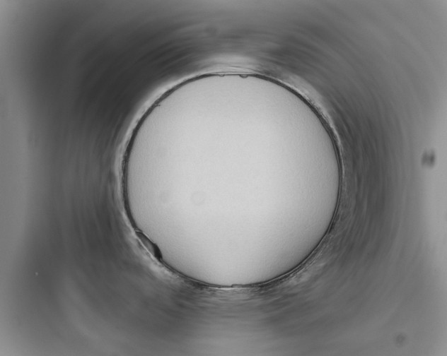 X0000097631488200803211757