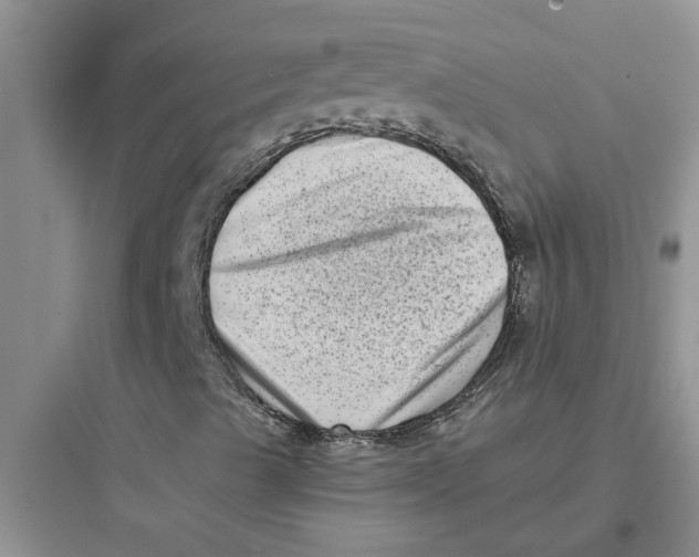 X0000097631489200803211756