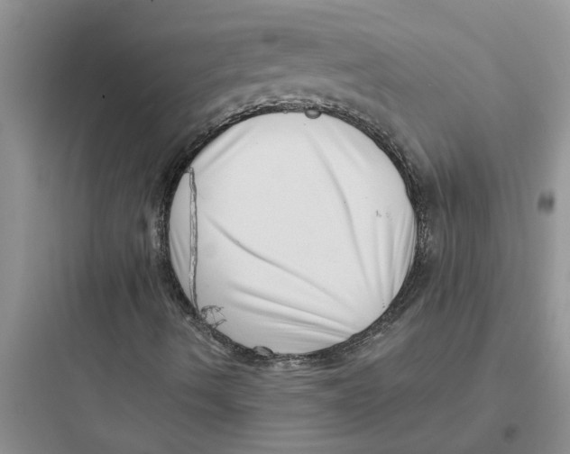 X0000097631490200803211756