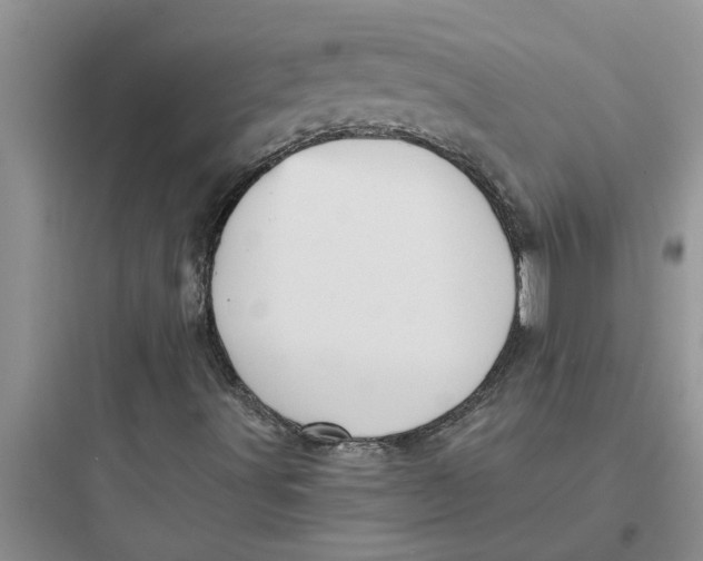 X0000097631491200803211756