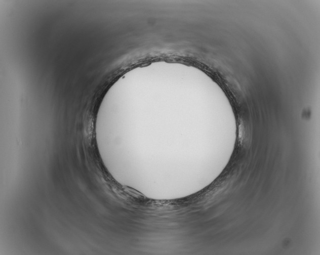 X0000097631492200803211756