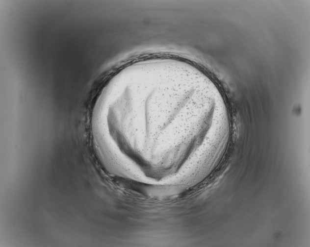 X0000097631494200803211756