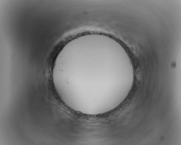 X0000097631495200803211756