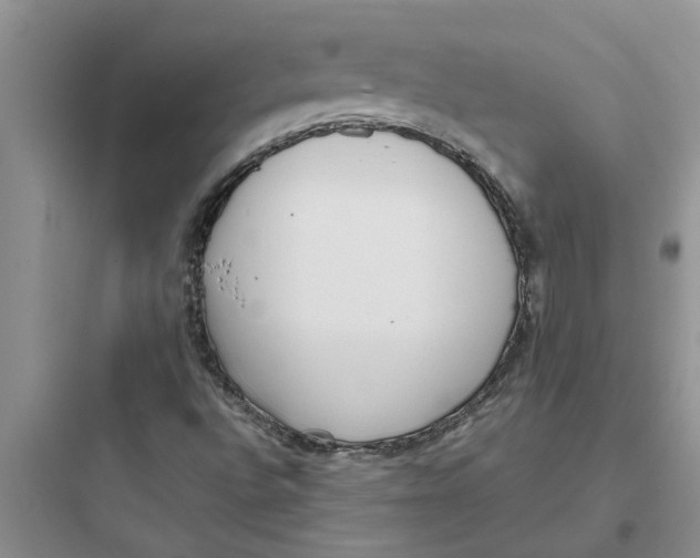 X0000097631496200803211756