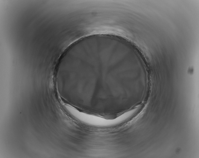 X0000097631497200803211756