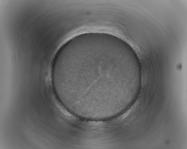 X0000097631498200803211756