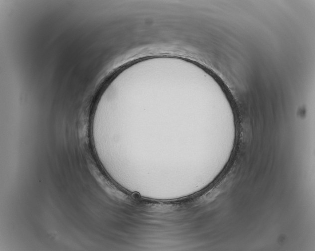 X0000097631499200803211756