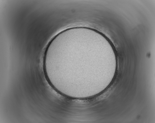 X0000097631500200803211756