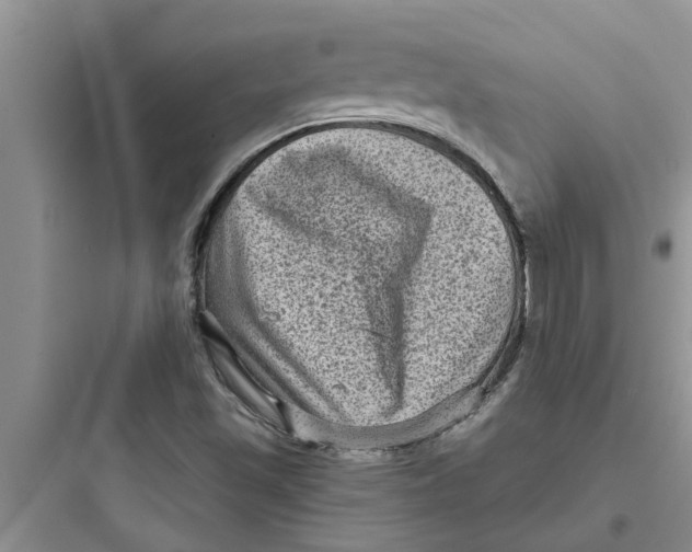 X0000097631501200803211756