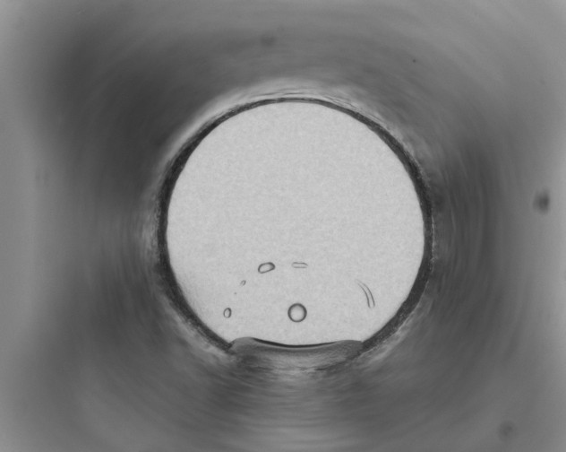 X0000097631502200803211756